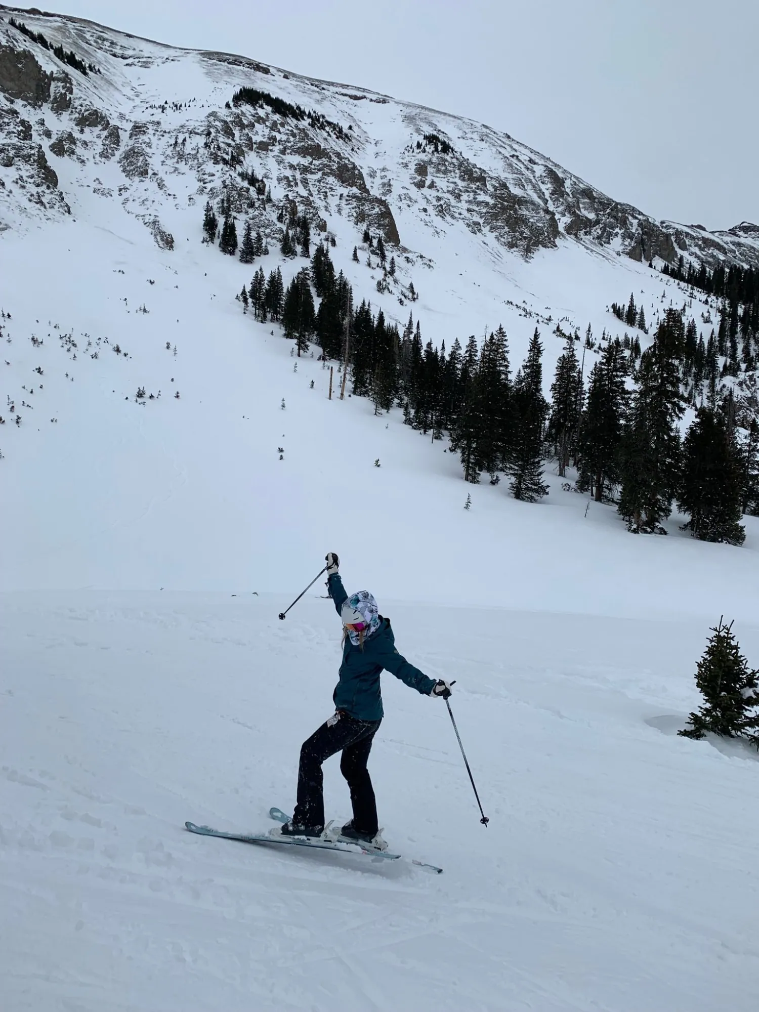 Skier posing