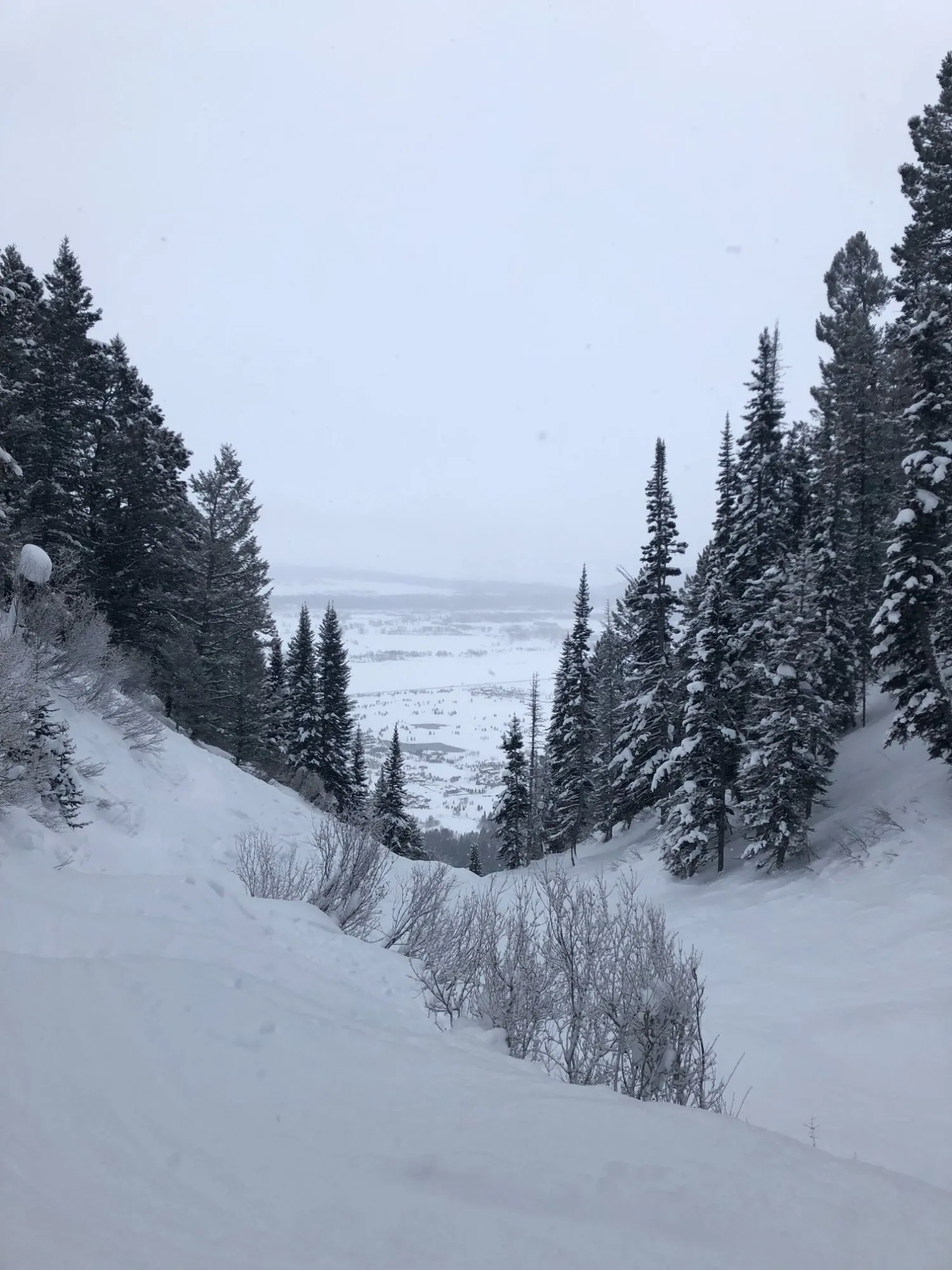 Valley view