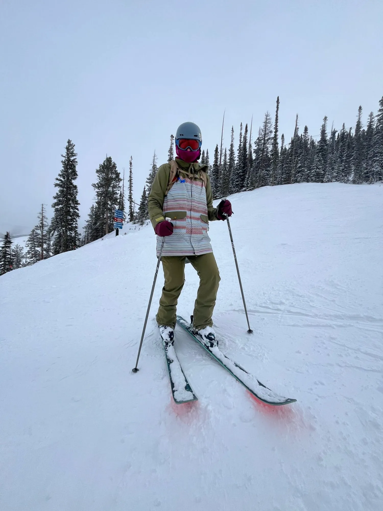 Aspen grove skier