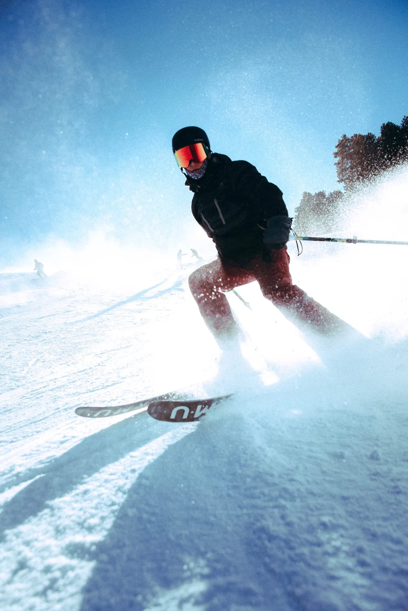 Powder skier action