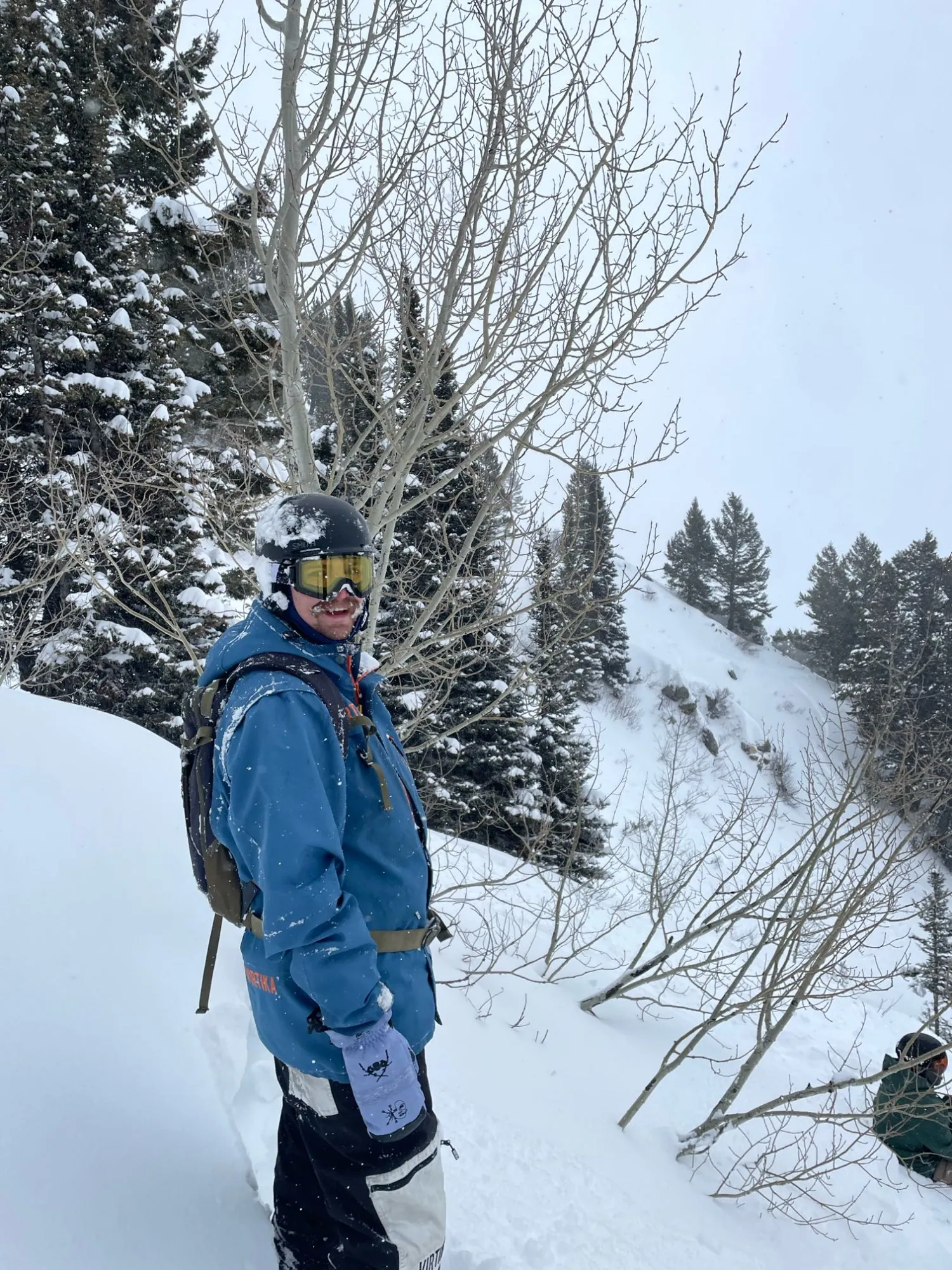Solo skier in trees