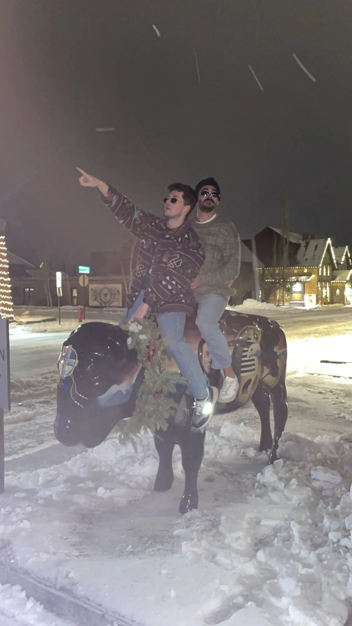 Bison statue night