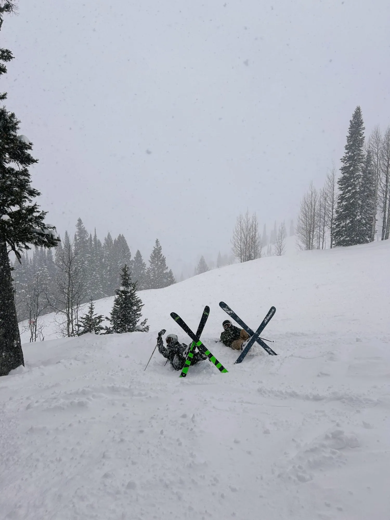 Two buried in powder