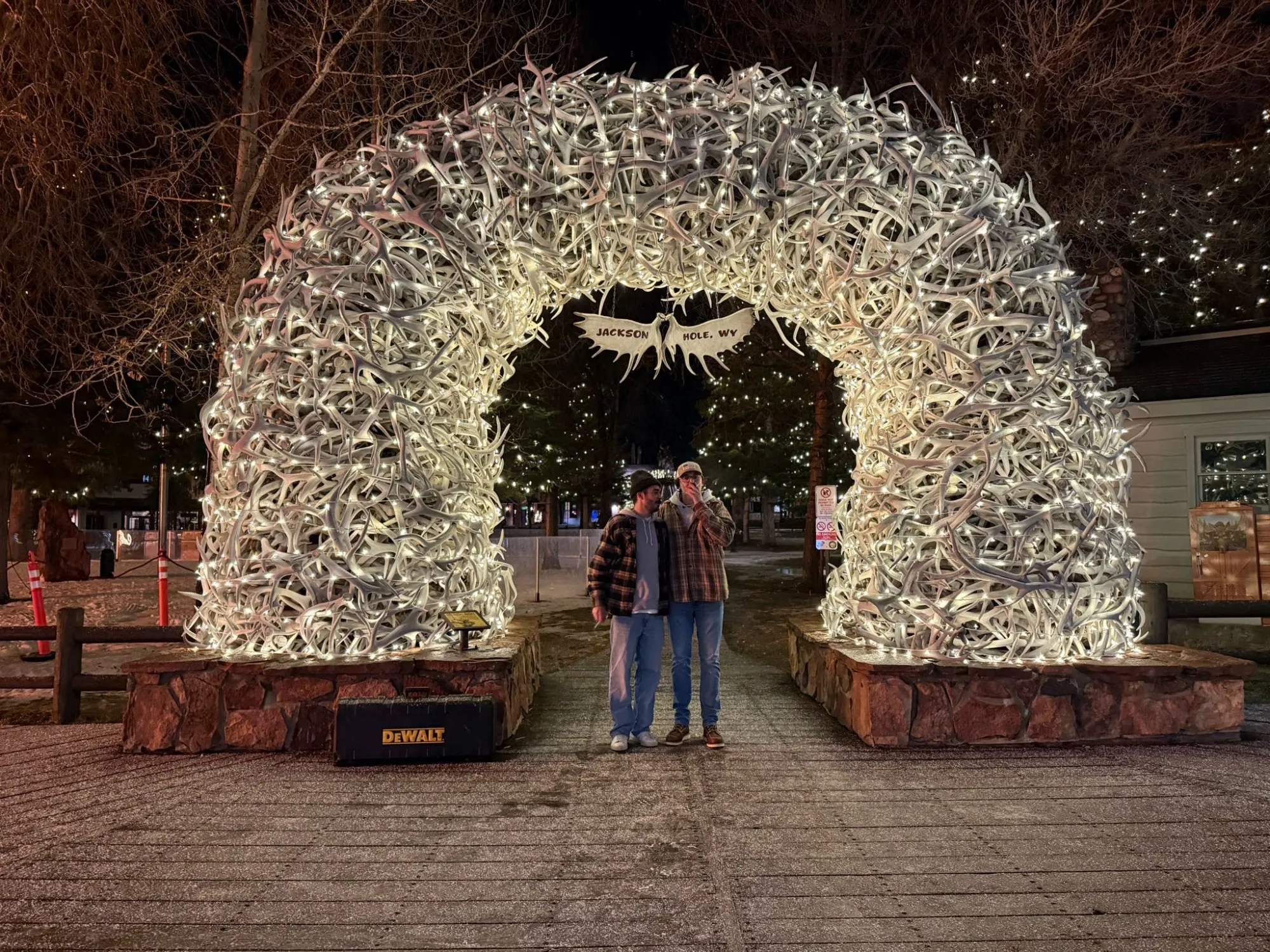 Antler arch night