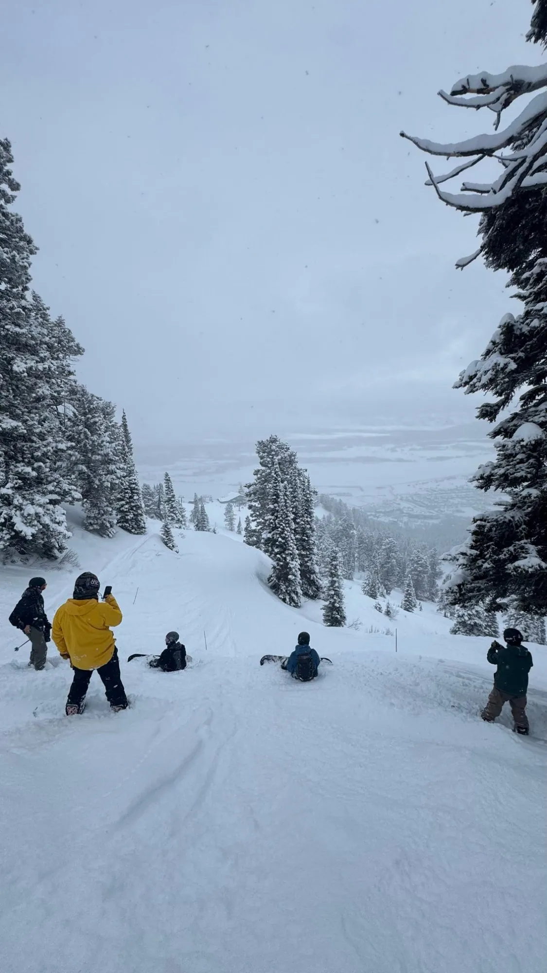 Powder run view